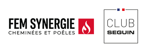 Logo FEM Synergie